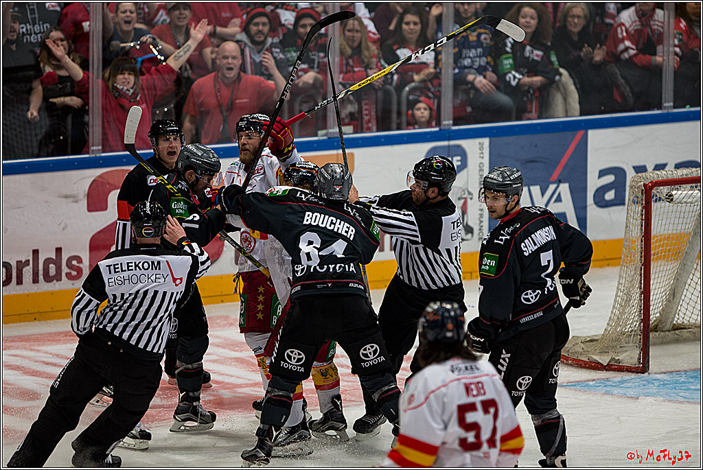 Koelner Haie - Duesseldorfer EG, 18.12.2016
